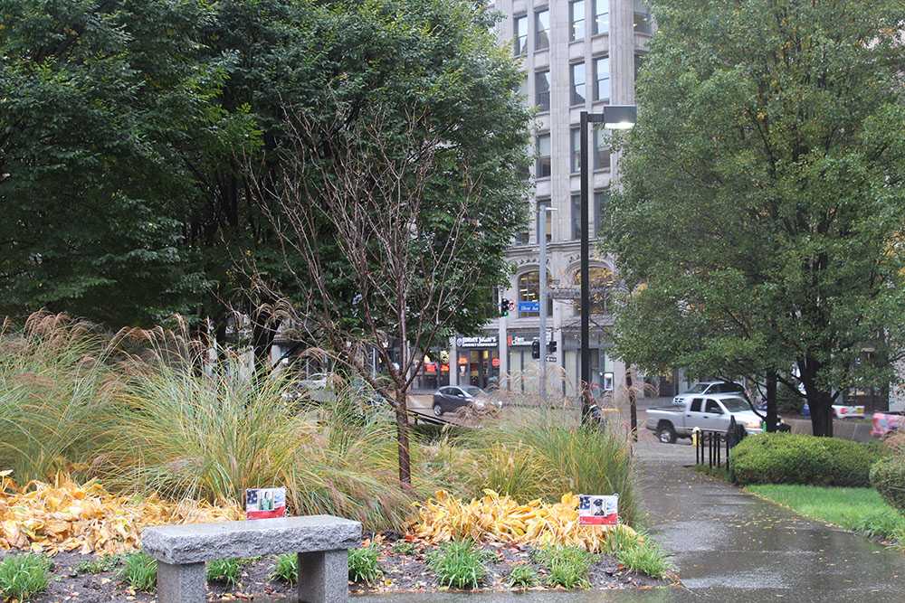 View looking towards Sixth Street from inside Mellon Green. Photo by Elizabeth Madison. 