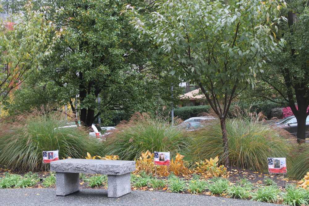 A bench and shrubbery in Mellon Green. The topography can be seen in the background. Photo by Elizabeth Madison