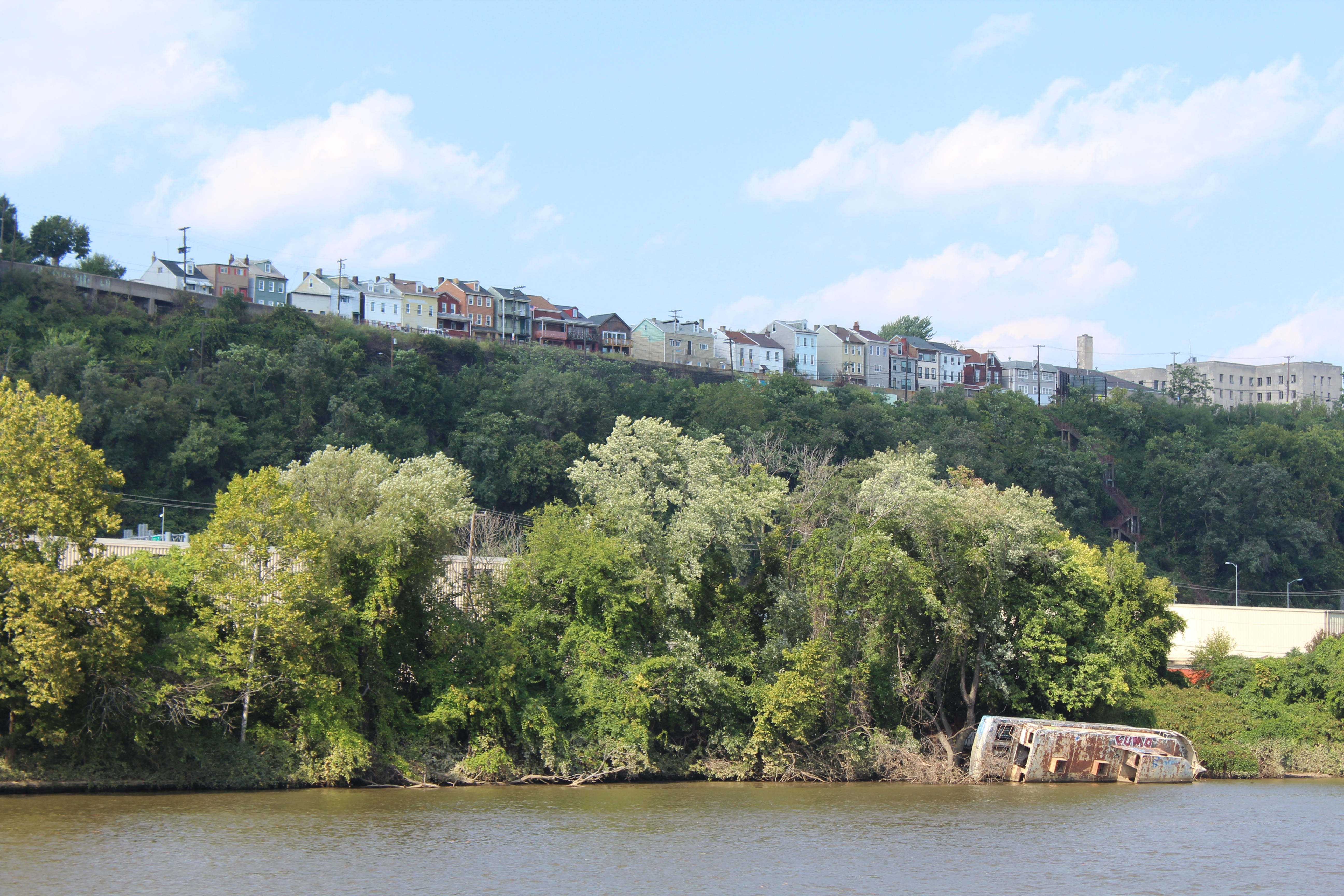 Trees are very much alive along the riverbank and up the hillside. Taken by Jenalee Janes.