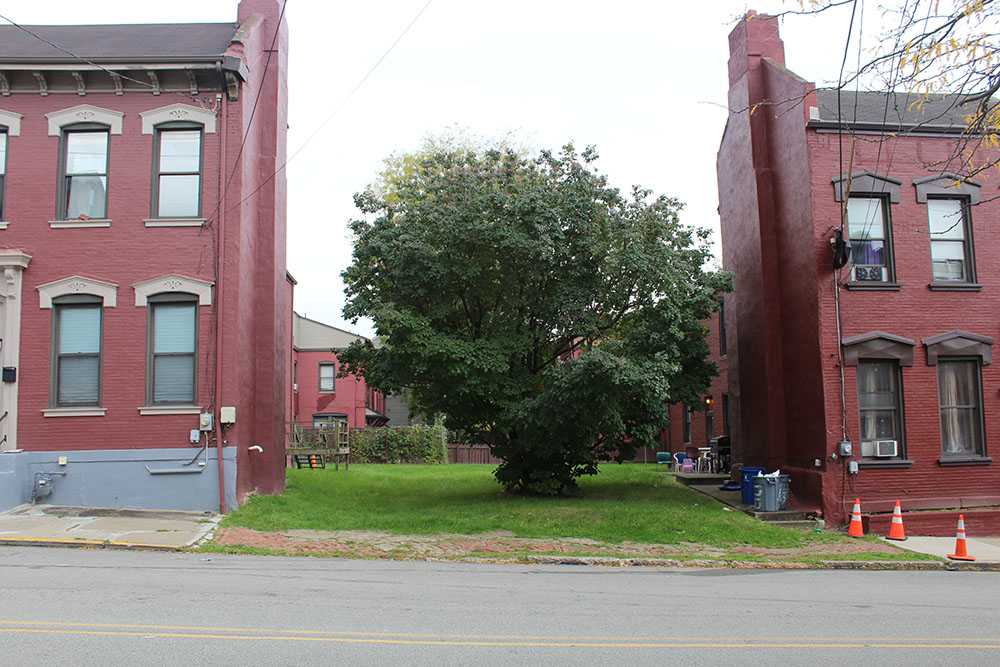 Patrick Swain, 2022. Tree between two houses across the street.